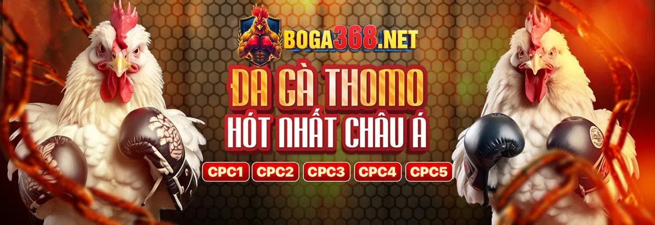 Hình ảnh đại diện Điều Khoản Dịch Vụ Nato888